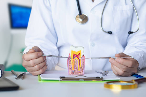 Best Emergency Cosmetic Dentistry in Mountain View, NC